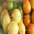 Plastic Packing Netting For Citrus